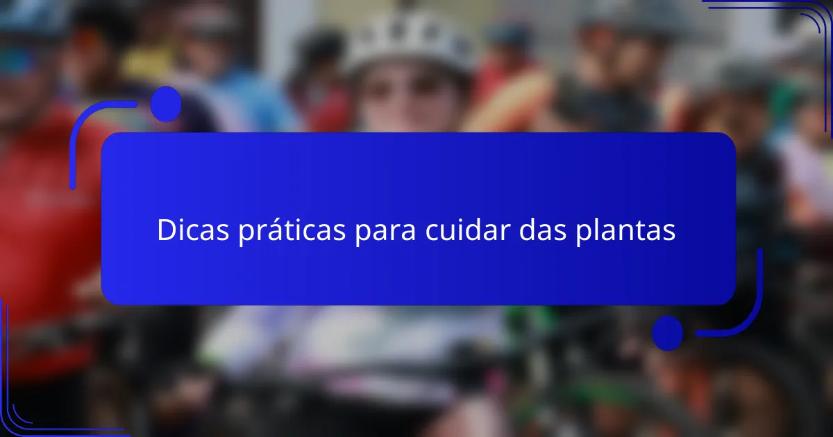 Dicas práticas para cuidar das plantas