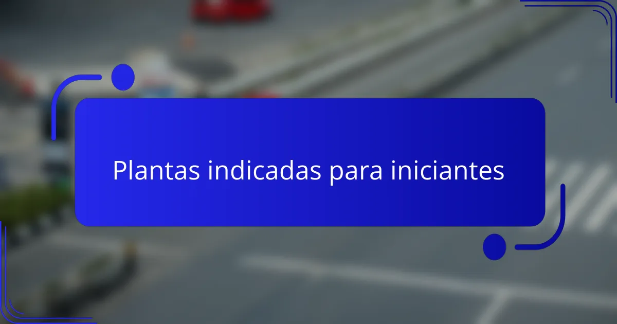 Plantas indicadas para iniciantes